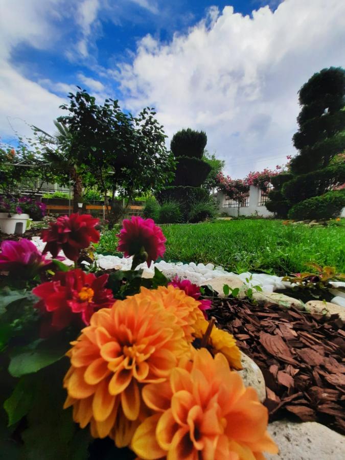 Albatros 2 Family Hotel Naousa Dış mekan fotoğraf