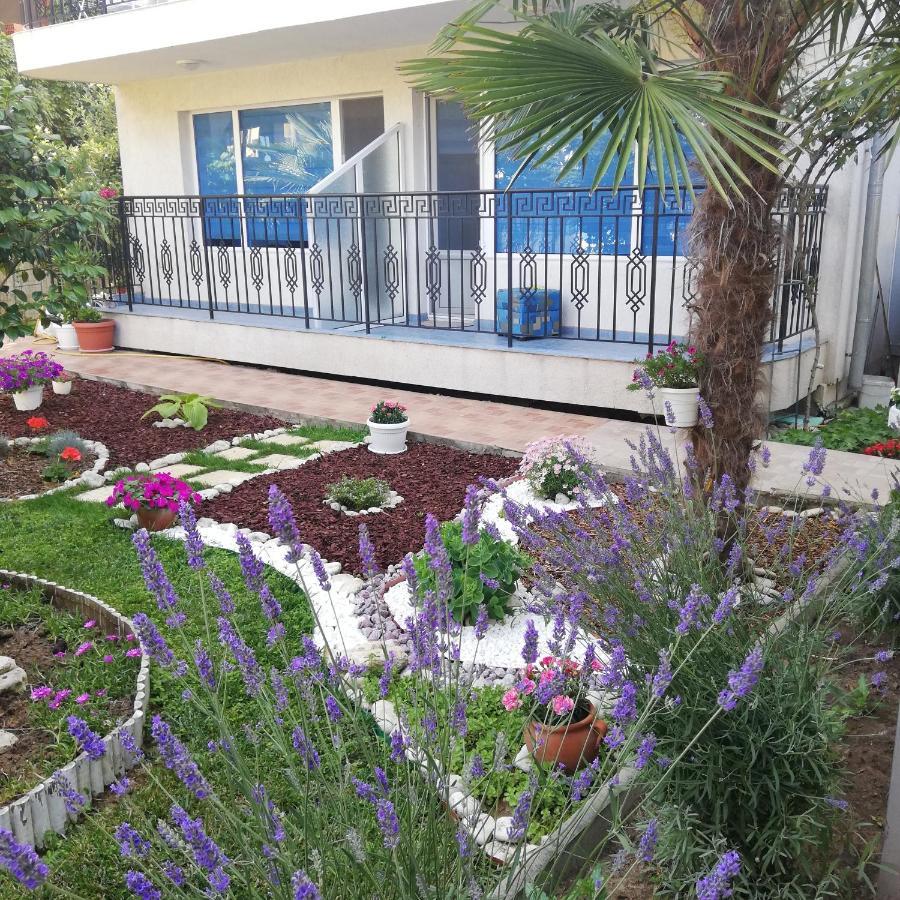 Albatros 2 Family Hotel Naousa Dış mekan fotoğraf