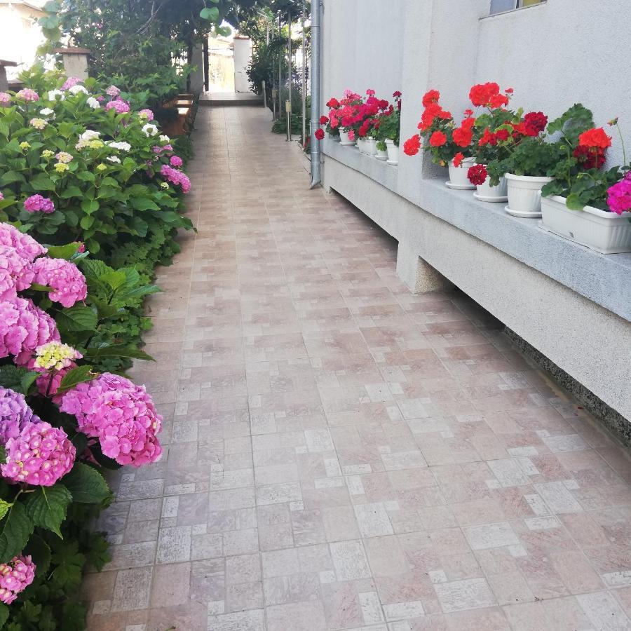 Albatros 2 Family Hotel Naousa Dış mekan fotoğraf