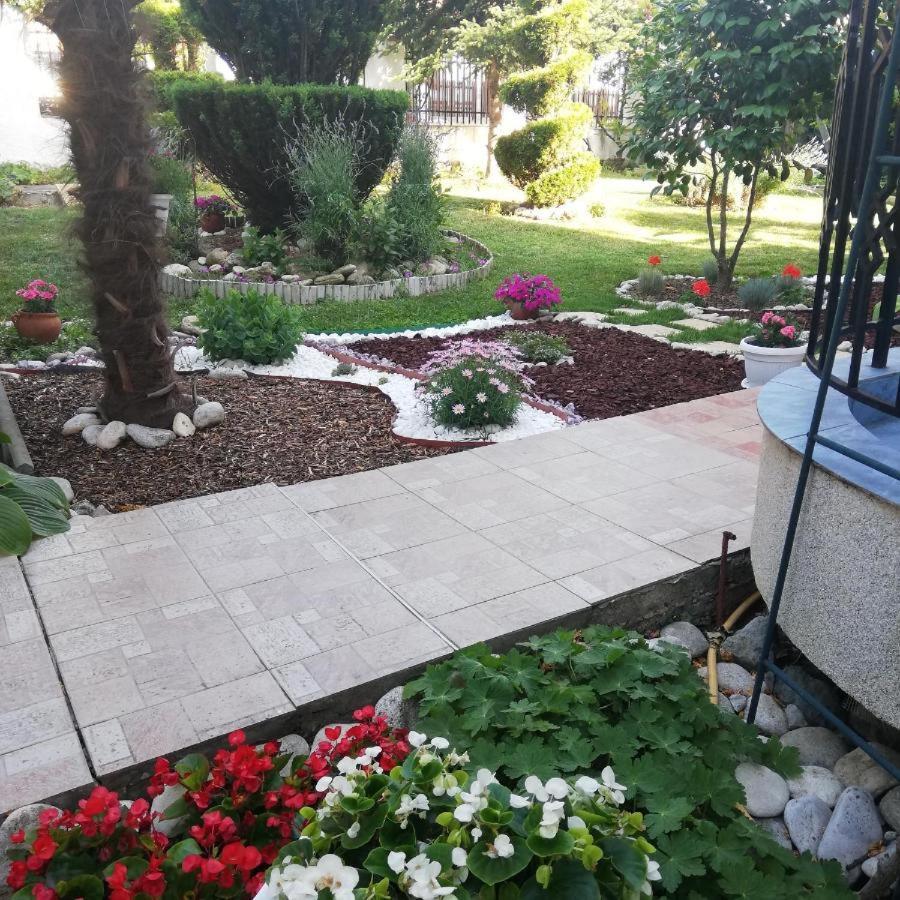 Albatros 2 Family Hotel Naousa Dış mekan fotoğraf